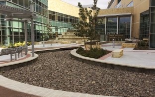 An outdoor area with some landscaping