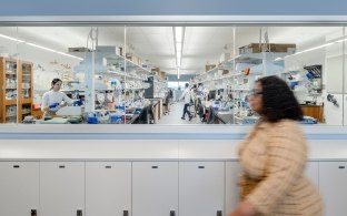 Person walking in front of a lab area