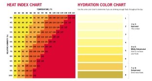 heat illness prevention