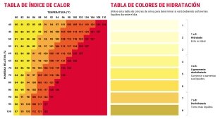 Heat related illness