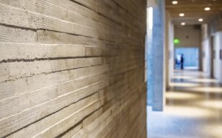 Indoor image of a hallway with a close up of a textured wall