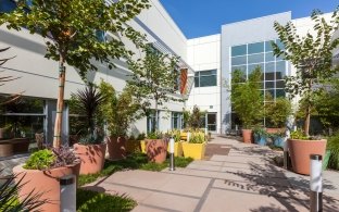 Outdoor image of a courtyard with trees and plants